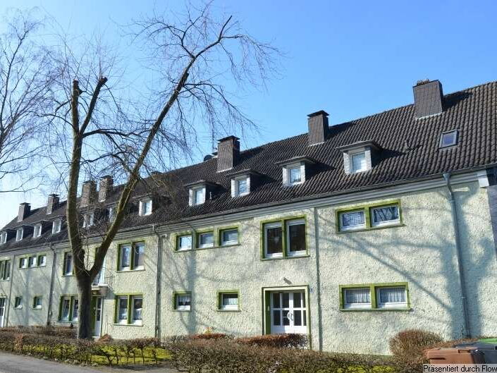 Details Schmitz-Immobilienservice      