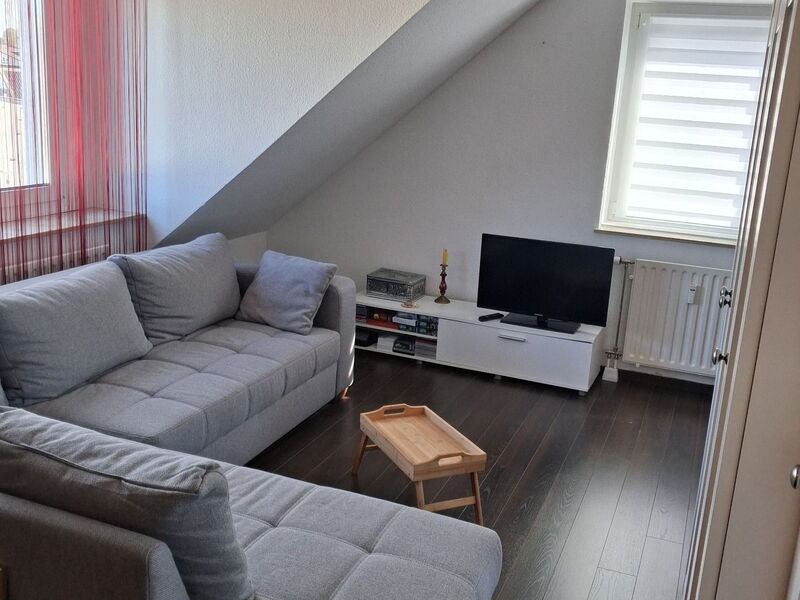 Details Schmitz-Immobilienservice      