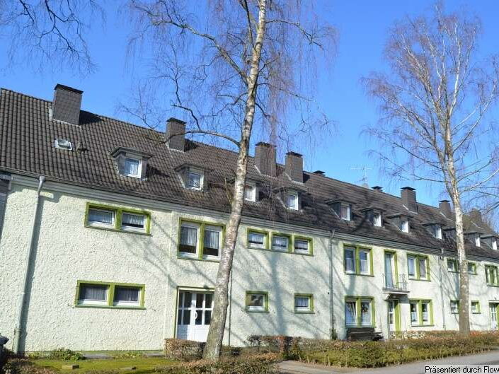 Details Schmitz-Immobilienservice      